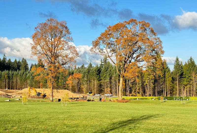 Ramble Creek new home community in Vancouver, WA gallery image number 38