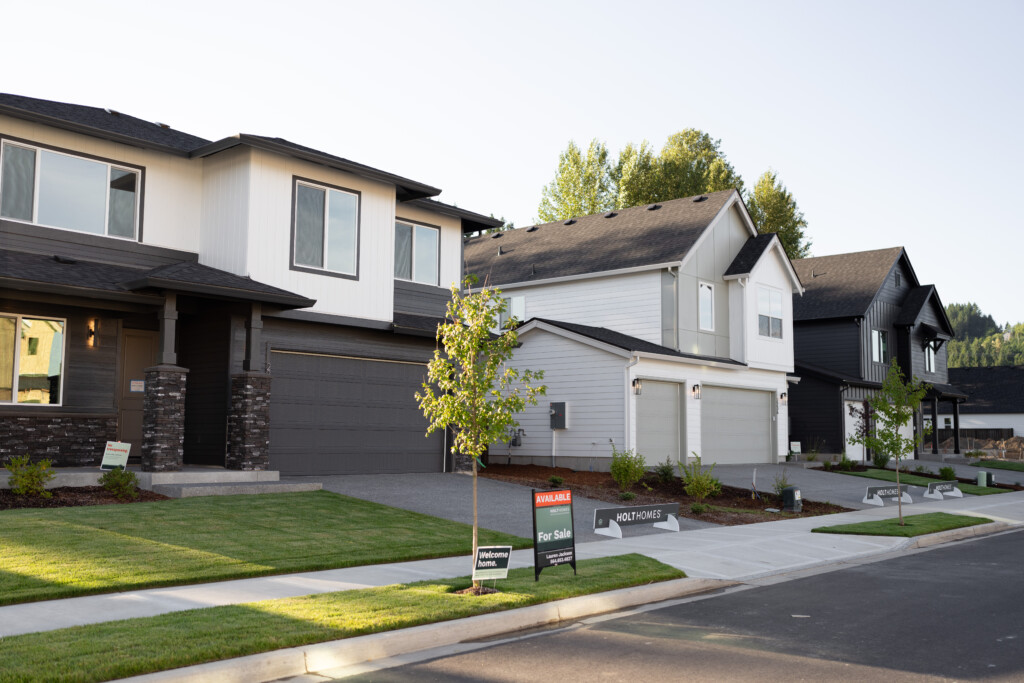 A row of modern suburban houses with manicured lawns and several For Sale signs on the front lawns, perfect for any first-time homebuyer searching for their dream home, taken on a clear day.