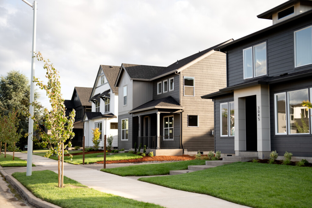 A row of modern suburban houses with well-kept lawns and young trees lines a quiet, sunny residential street, ideal for anyone considering the cost of buying a house.