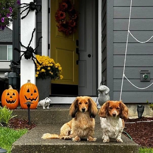 Congratulations to @wynngunter ,one of our #HoltHomesHalloween2024 winners! 🎃🕸️ Thank you for sharing your boo-tiful creativity with us!

#HoltHomes #HoltHomesPNW #pnwhomes #home #homeinspiration #realestate #halloweencontest