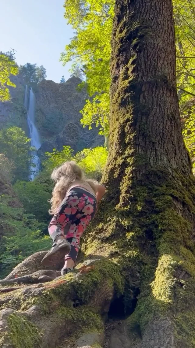 Happy Earth Day with views from Oregon and Washington 🌲💚 @adventuremomofpnw 

#HoltHomes #HoltHomesPNW #pnwhomes #home #homeinspiration #realestate #earthday