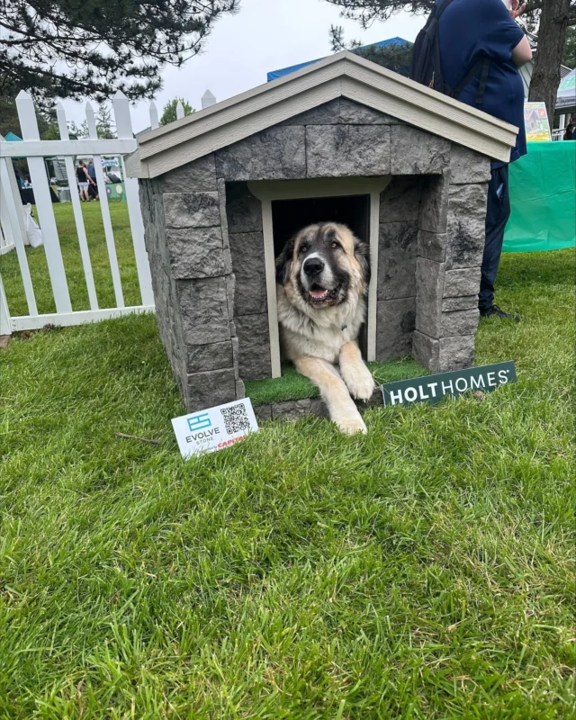 In May, at Paws in the Park, we showcased our dog-approved Holt Dog House, designed with the same care and creativity we bring to every Holt home. 🏡🐾

Built by our team for pet owners who value comfort, craftsmanship, and a little fun, this mini home was a hit with pups and people alike.

Which one are you choosing the Barkstone Bungalow or Holt Dog House?