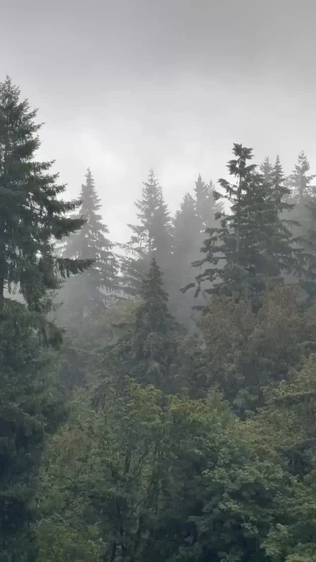 Rainy summer day calls for a cozy movie night in.