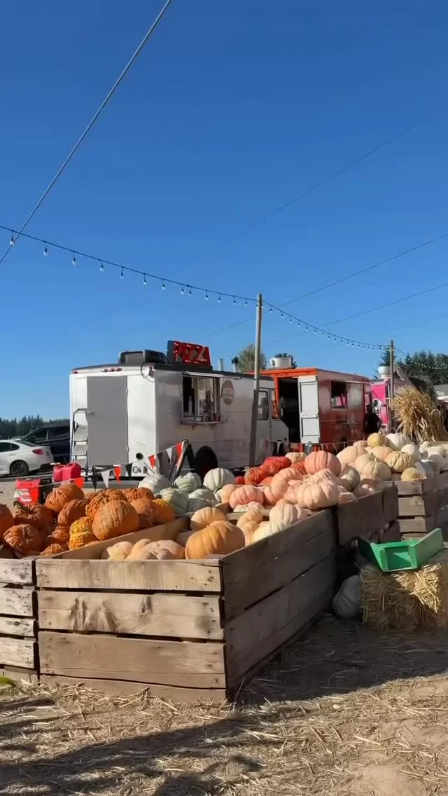 My dog’s first pumpkin patch in the pnw 🎃🐾