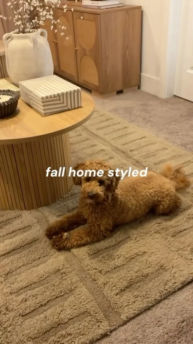 Fall living room inspo 🍂🍁