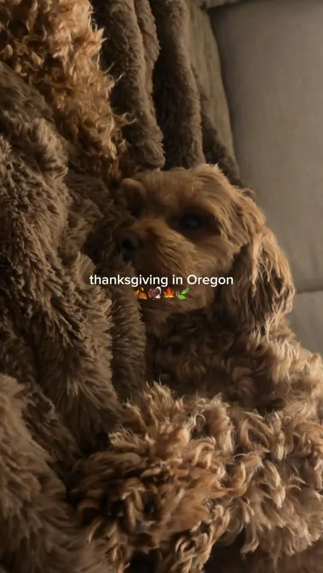 Nothing beats fall in the PNW 🍁🍂🍃

#holthomespnw #pnwhomes #homeinspiration 
#countdowntothanksgiving #pnwliving