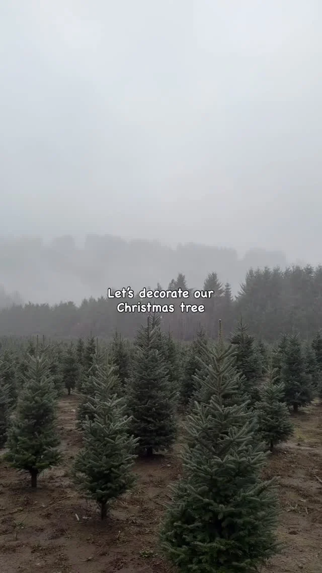 Decorate our Christmas tree with us 🎄
.
.
.
.
.
#athomewithholt #holthomes #createwithholt #holthomespnw 
.
.
.
#ad #sponsored #ChristmasVibes #HolidaySeason #WinterMagic #FestiveMood #ChristmasTime #CozyHolidays #WinterWonderland #HolidayCheer #MerryAndBright #ChristmasJoy #WinterVibes #TisTheSeason #HolidaySpirit #ChristmasDecor #SnowyDays #WarmAndCozy #ChristmasFun #FestiveVibes #HolidayMoments #SeasonOfJoy