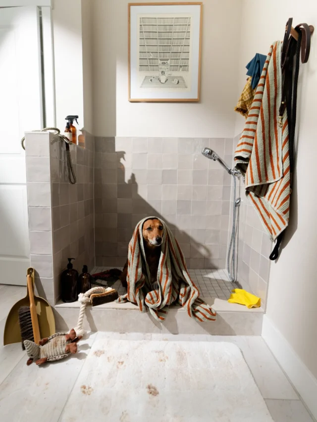 Your furry friends deserve the best too 🐾

From the convenient dog wash station to the on-site bowl fill section, our community makes it easy to keep tails wagging and paws happy.

Holt Homes treats pets like family, offering personalization options such as hidden feeding stations and custom pet wash areas. Ask our sales team for details on available upgrades and construction timelines.

Life’s better when everyone in the family feels at home 🏡

#holthomespnw #furryfriend #amenties