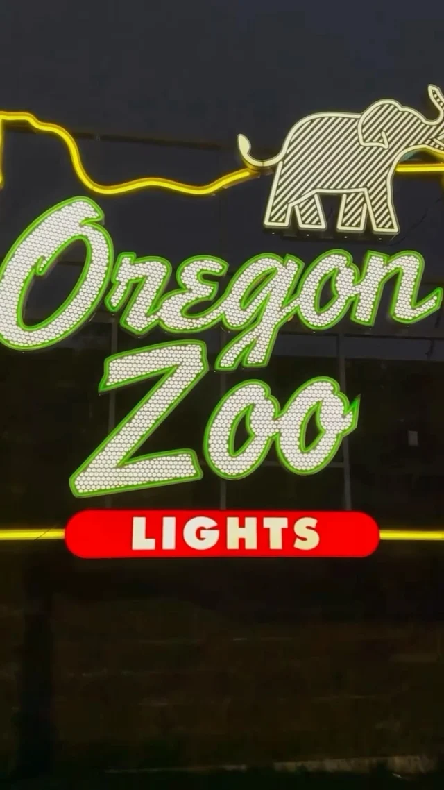 Oregon Zoo Lights, but make it extra magical ✨

Riding the train through sparkling lights and getting to see a real elephant up close 🐘🎄So many smiles, so many “wow” moments, and all the Christmas feels.

#holthomespnw #oregonzoo #christmascountdown