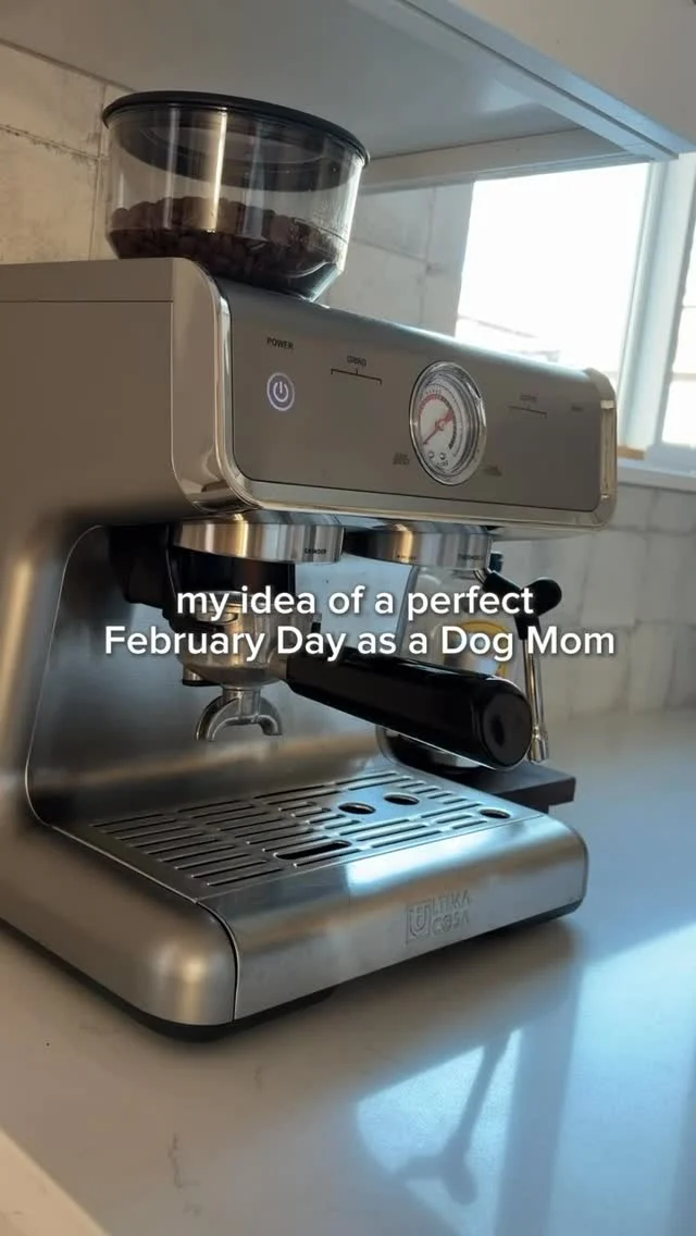 What a perfect day spent with my dogs looks like🐾💕What’s your favorite way to spend time with your dogs?