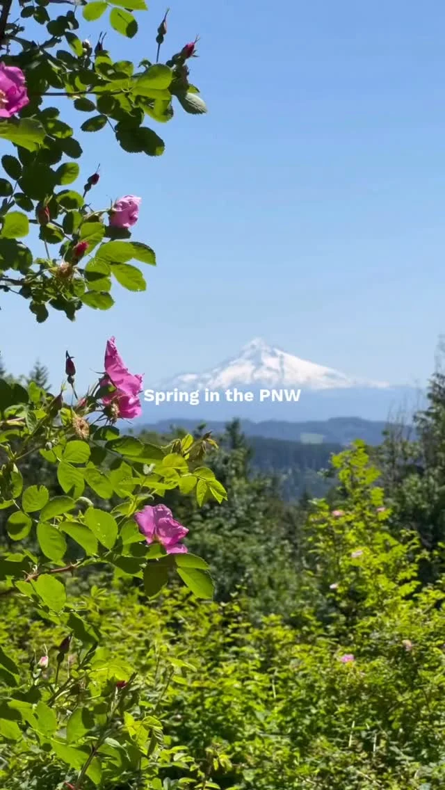 Spring is on its way in the PNW 🌱💐✨ Trails are waking up, backyards are blooming, and mornings feel brighter. This season is about getting outside, slowing down, and enjoying the slow moments at home.