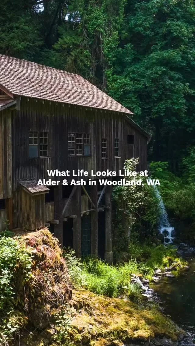 New homes, fresh start, and room to actually live 🌲

Alder & Ash is where small-town calm meets easy access to everything you love in Woodland, WA.