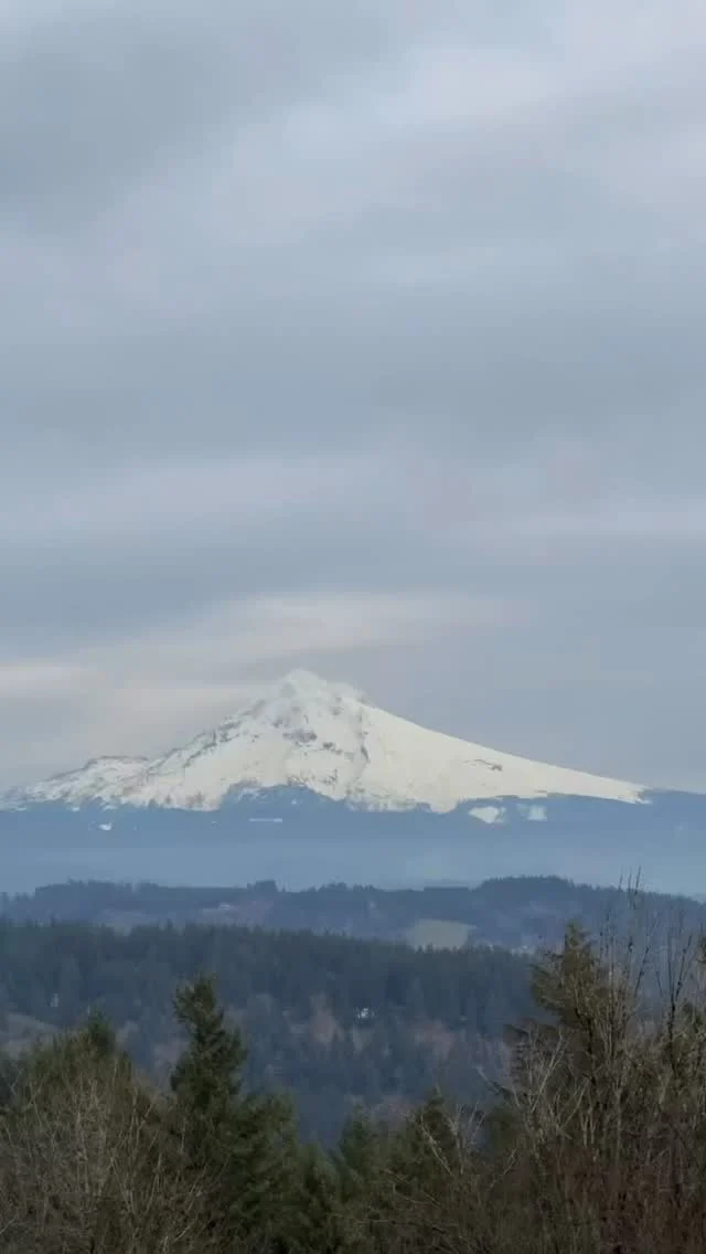 Living in the PNW means your neighborhood walks hit different 🌲