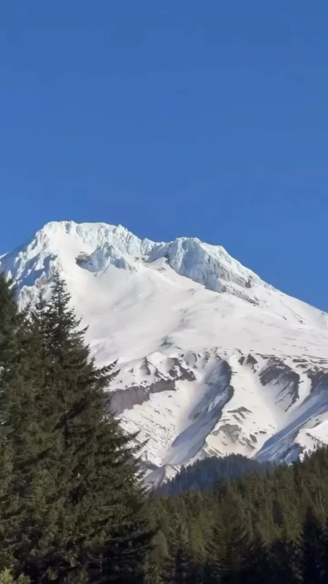 Happy Earth Day 🌿 There is nothing like the beauty of the Pacific Northwest to remind us why our surroundings matter. At Holt Homes we are inspired by the forests, trails, and natural spaces that make this region special. Today we celebrate nature and the places we are proud to call home.

Video captured by our adventurous homeowner @adventuremomofpnw ✨