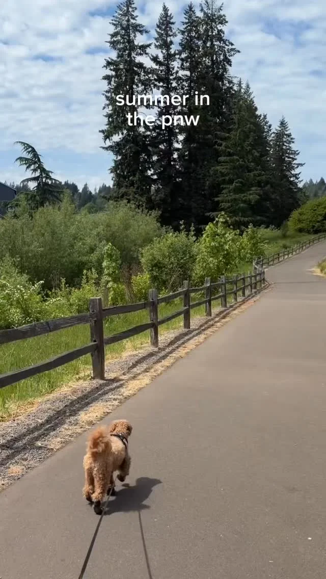 Summer in the PNW is personally our favorite season ☀️