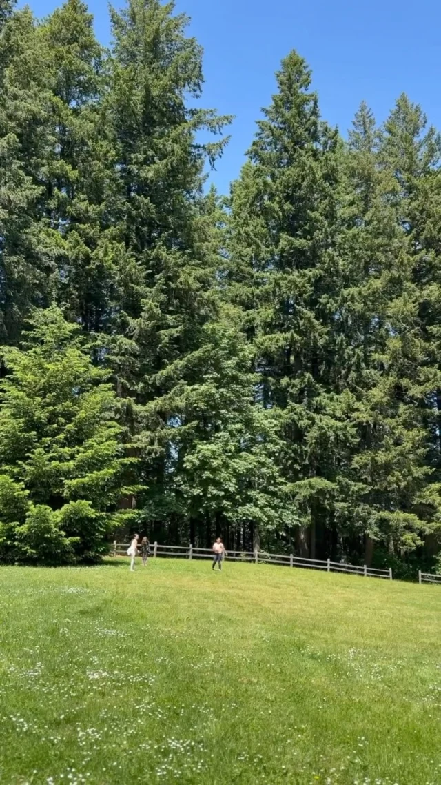 Sometimes the best adventures are right in your own neighborhood 🌲✨

Spent the day hiking through the forest with breathtaking views of Mt.Hood around every corner, then topped it off with a picnic at the top of Scouters Mountain. Fresh air, towering trees, mountain views, and simple moments together.