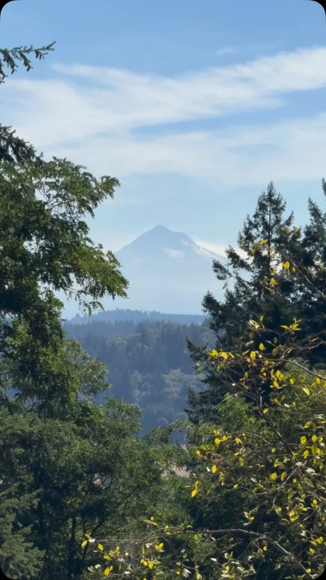 A new place to play, explore, and enjoy the outdoors is now open just steps from our Scouters Mountain community. 🌳☀️

The new city park brings even more opportunities to enjoy the neighborhood and make the most of summer close to home.
