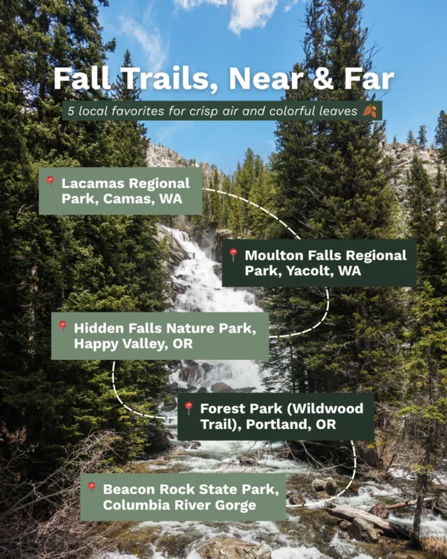 Grab the flannel. Lace up the boots. From quick neighborhood loops to a scenic hour’s drive to Beacon and Moulton, the best fall colors in the PNW are all within reach.